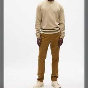GAP Men's Brown Chinos